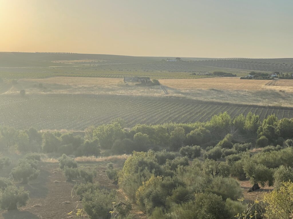Amanece en El Saltillo, junto al Guadajira.